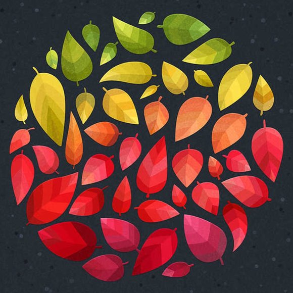 TEST - Picture 1 of 1